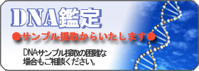 東京・八王子・立川・多摩の探偵社・総合探偵社オフィスコロッサス公式サイトウルトラライトプランDNA鑑定バナー