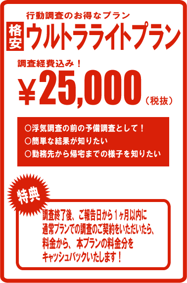 東京・八王子・立川・多摩の探偵社・総合探偵社オフィスコロッサス公式サイトウルトラライトプランウルトラライトプランイメージ